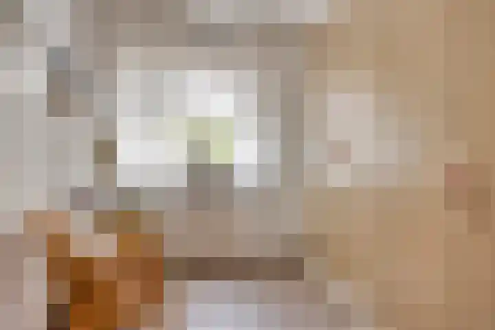 Florisdonk 2 Roosendaal thumbnail 13