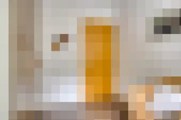 Florisdonk 2 Roosendaal thumbnail 14