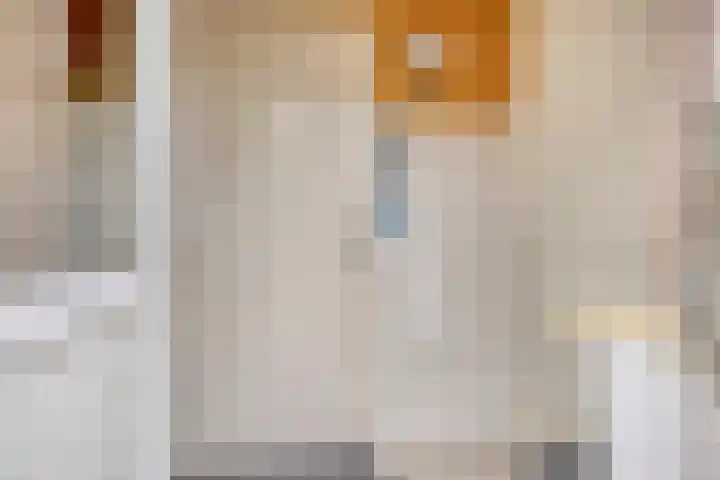 Florisdonk 2 Roosendaal thumbnail 17