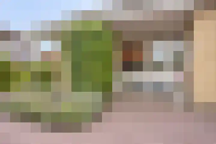 Florisdonk 2 Roosendaal foto 2