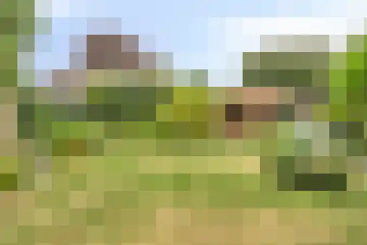 Florisdonk 2 Roosendaal thumbnail 27