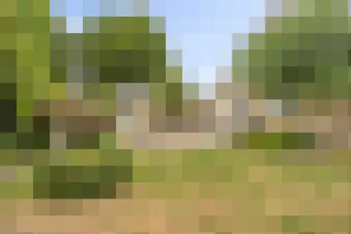 Florisdonk 2 Roosendaal thumbnail 28