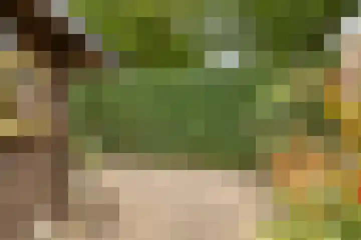 Florisdonk 2 Roosendaal thumbnail 29