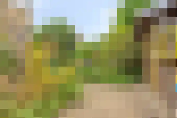 Florisdonk 2 Roosendaal thumbnail 30