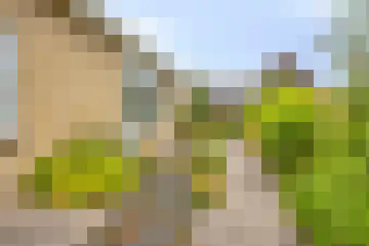 Florisdonk 2 Roosendaal thumbnail 31