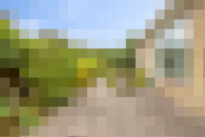 Florisdonk 2 Roosendaal thumbnail 32