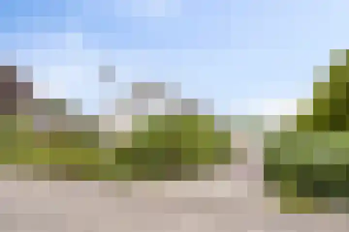 Florisdonk 2 Roosendaal thumbnail 34