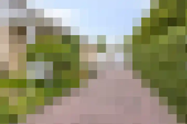 Florisdonk 2 Roosendaal thumbnail 35