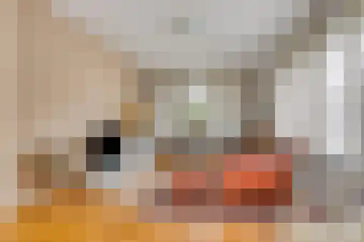Florisdonk 2 Roosendaal thumbnail 8