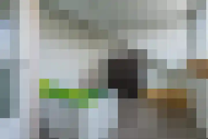 Florisstraat 1 Sint-Oedenrode thumbnail 10
