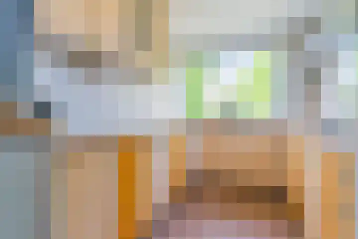 Florisstraat 1 Sint-Oedenrode thumbnail 26