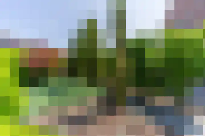 Florisstraat 1 Sint-Oedenrode thumbnail 58