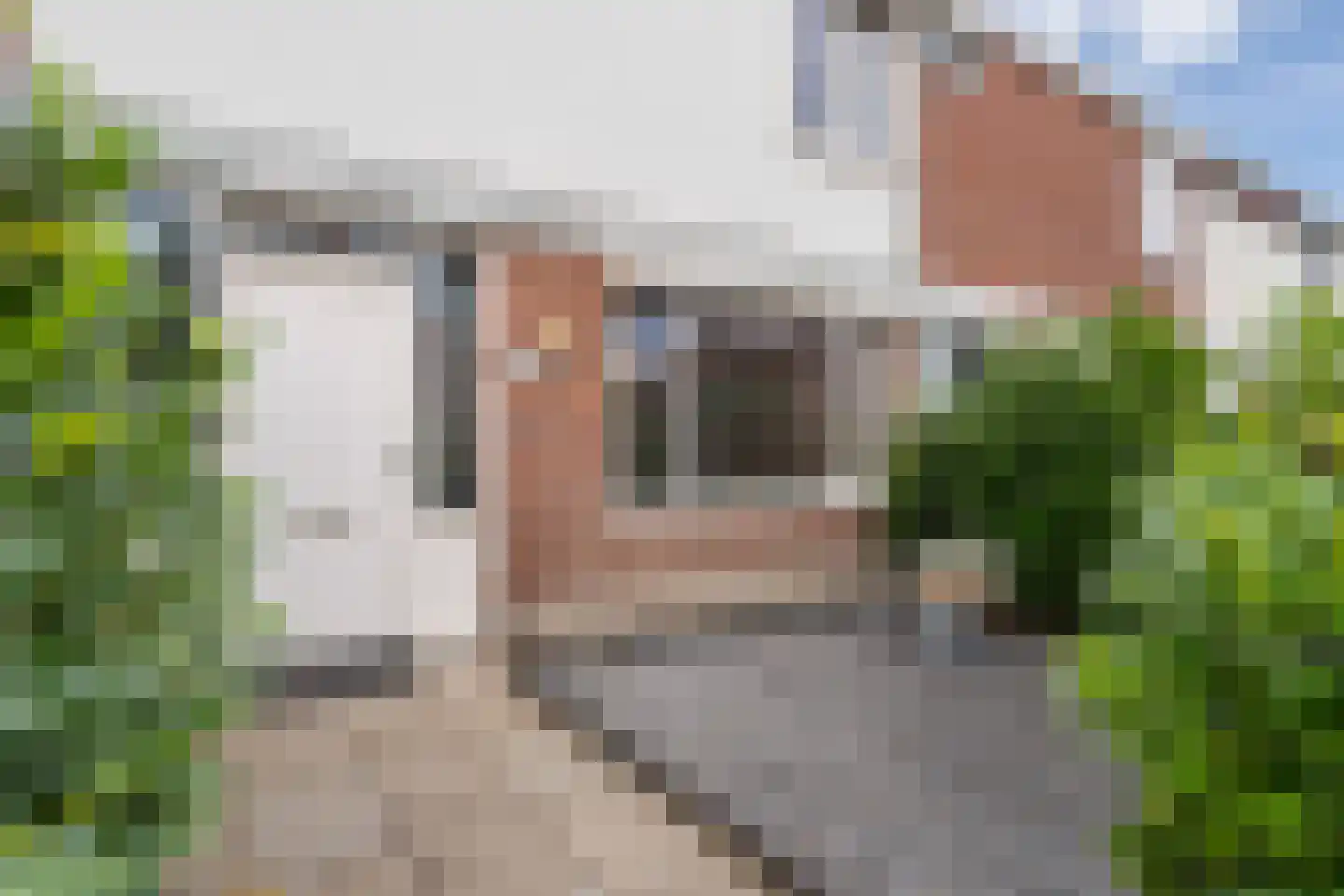 Florisstraat 13 Weert thumbnail 8