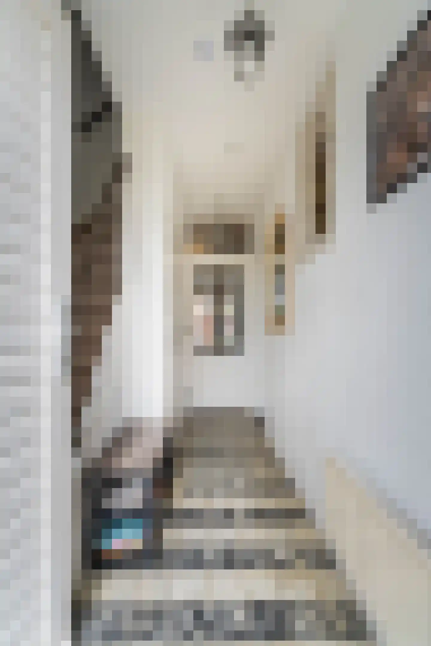 Florisstraat 13 Weert thumbnail 9