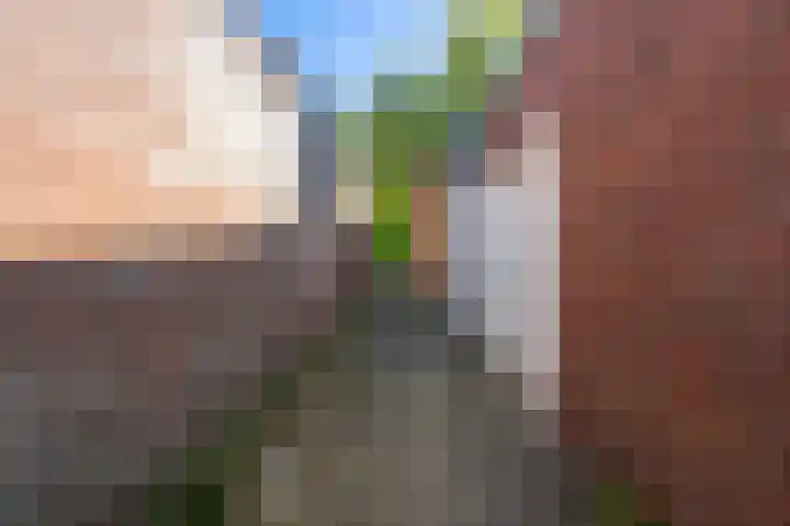 Florisstraat 19 Weert thumbnail 27
