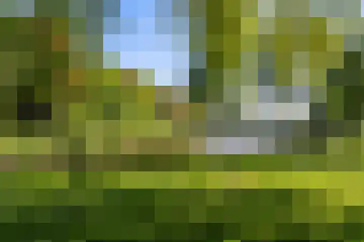 Florisstraat 19 Weert thumbnail 29