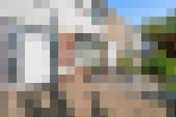 Florisstraat 19 Weert thumbnail 7