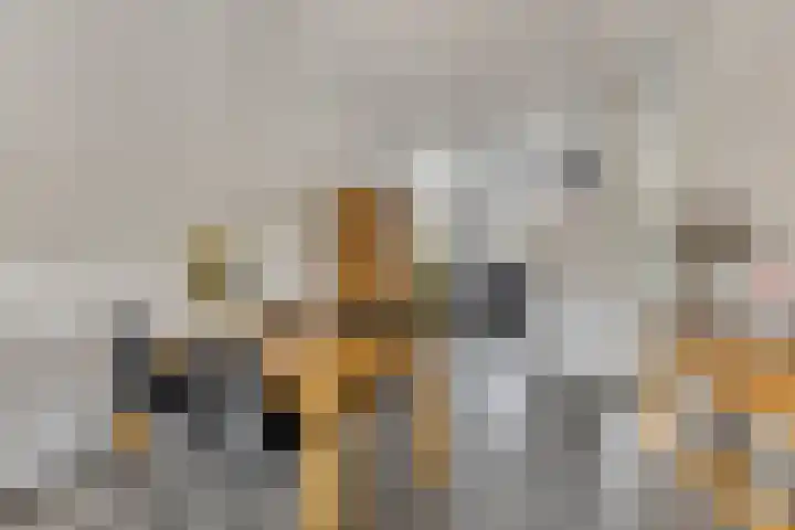 Florisstraat 2 Breda thumbnail 10