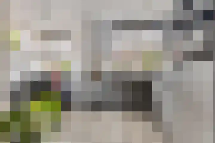 Florisstraat 2 Breda thumbnail 11