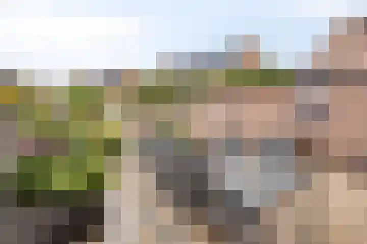 Florisstraat 2 Breda thumbnail 27