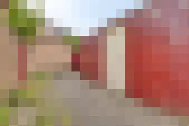 Florisstraat 2 Breda thumbnail 28