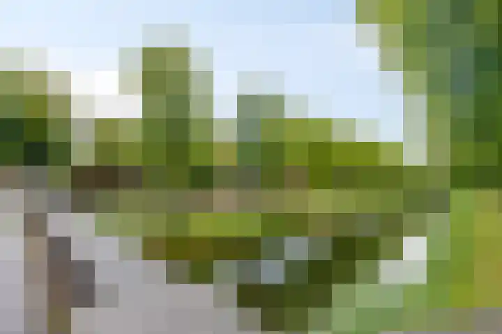 Florisstraat 2 Breda thumbnail 31