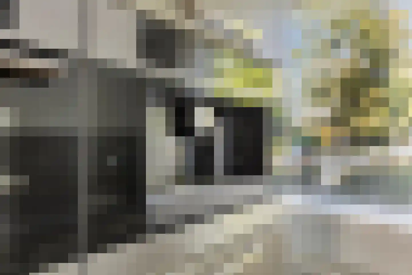 Florisstraat 29 Sint-Oedenrode thumbnail 17