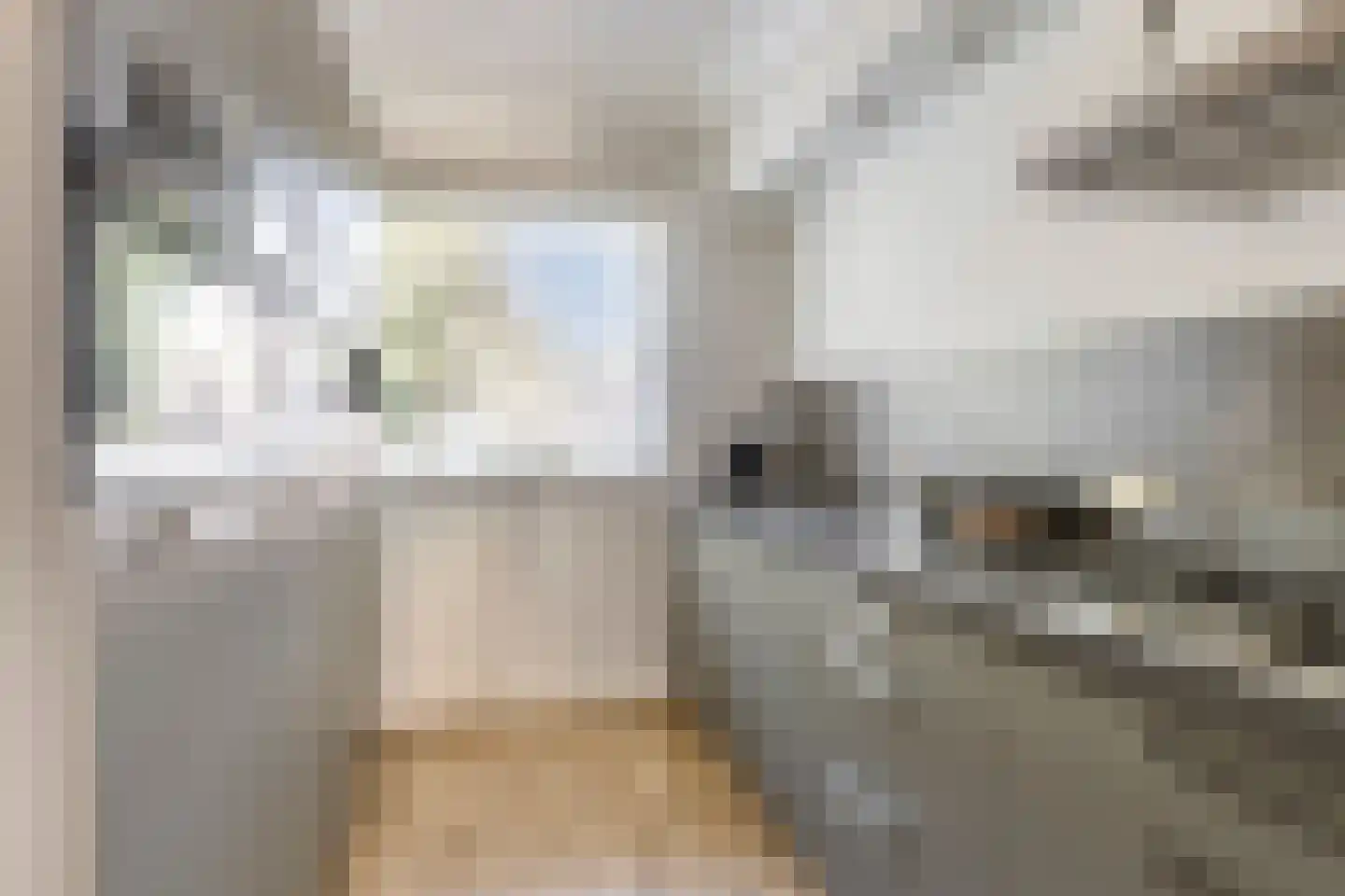 Florisstraat 29 Sint-Oedenrode thumbnail 4