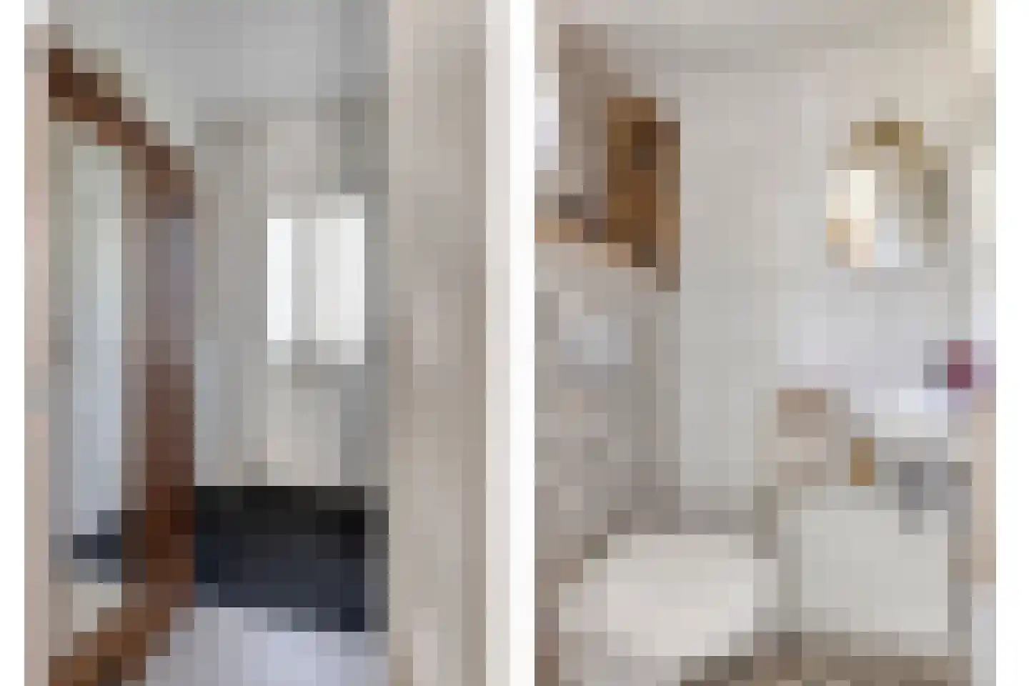 Florisstraat 29 Sint-Oedenrode thumbnail 8