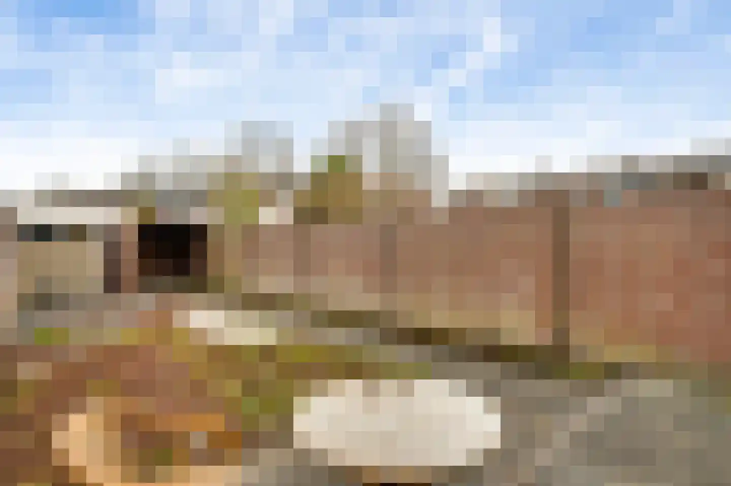 Florisstraat 6 Weert thumbnail 28