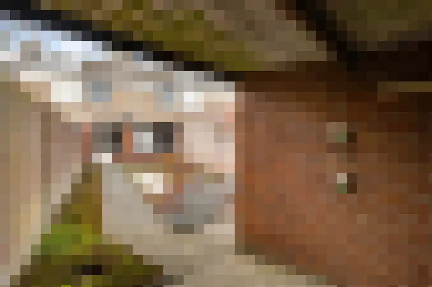 Florisstraat 6 Weert thumbnail 32