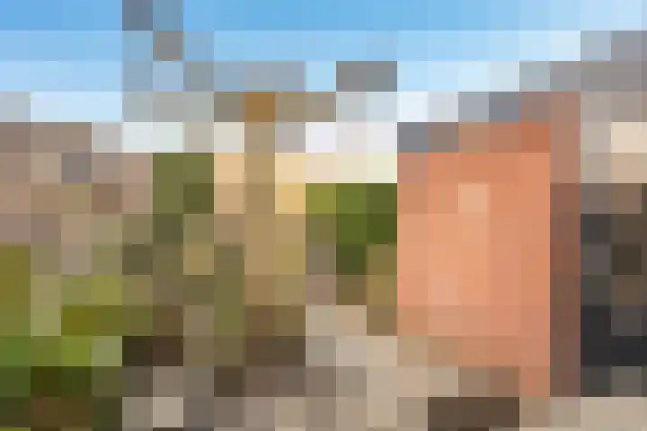 Floriszlaan 8 Baarn thumbnail 12