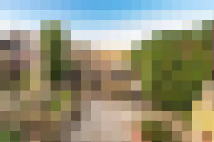 Floriszlaan 8 Baarn thumbnail 13
