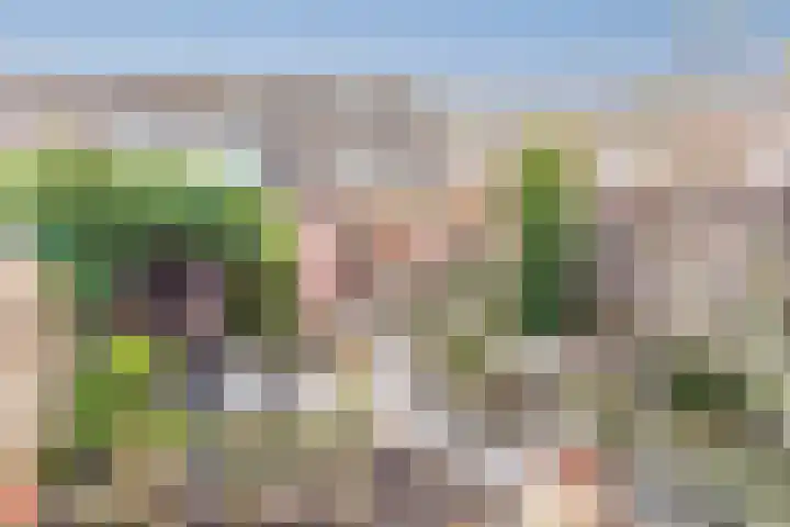Floriszlaan 8 Baarn thumbnail 14
