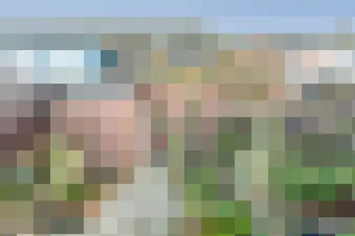 Floriszlaan 8 Baarn thumbnail 15