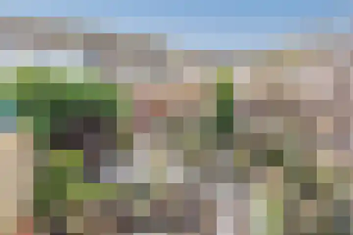 Floriszlaan 8 Baarn thumbnail 4