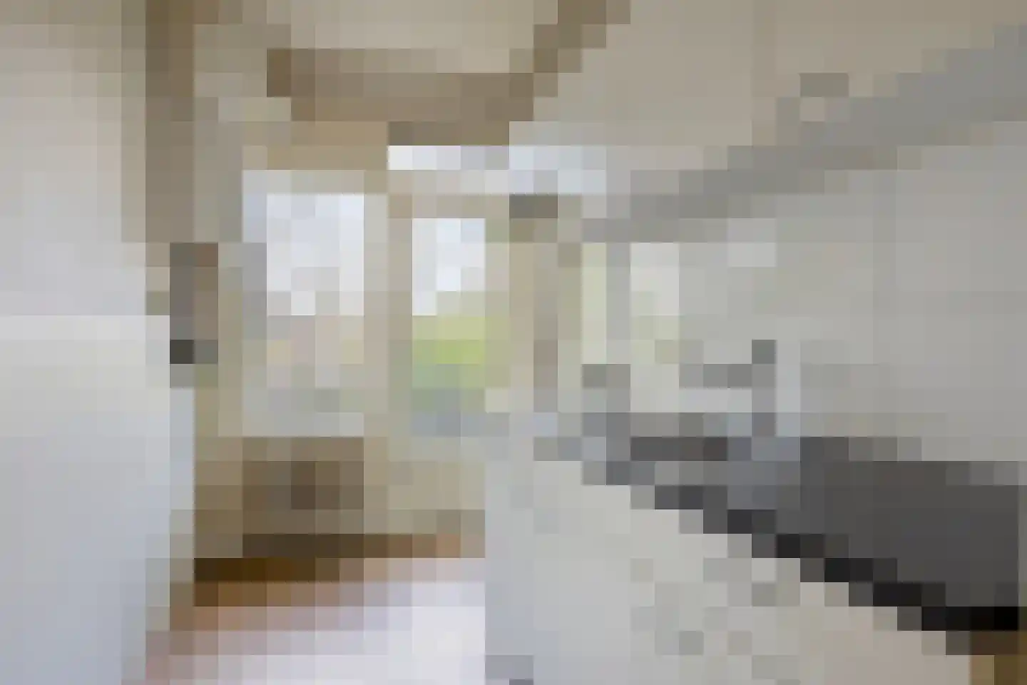 Floriszstraat 61 2 Arnhem thumbnail 14