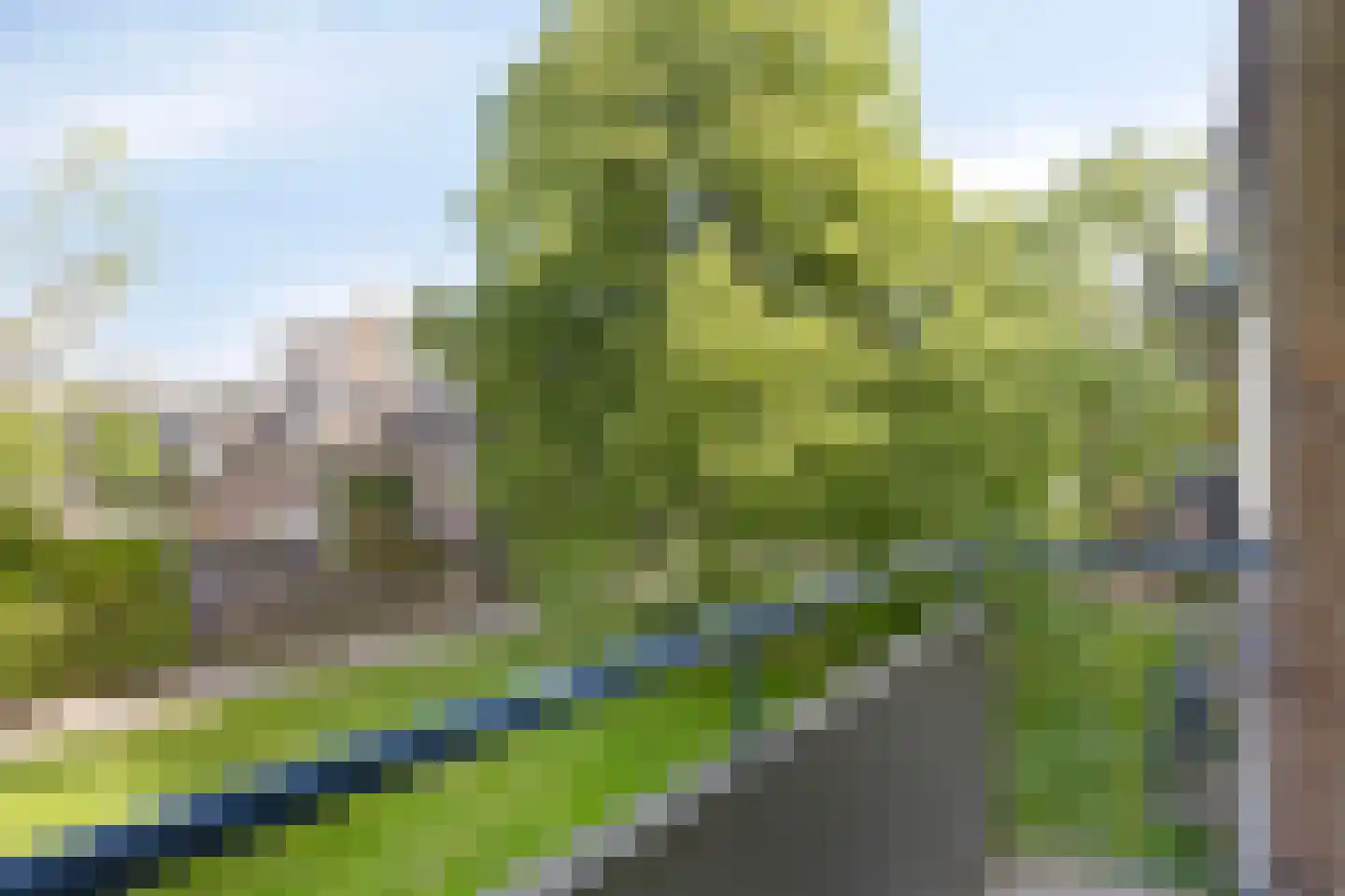 Floriszstraat 61 2 Arnhem thumbnail 16
