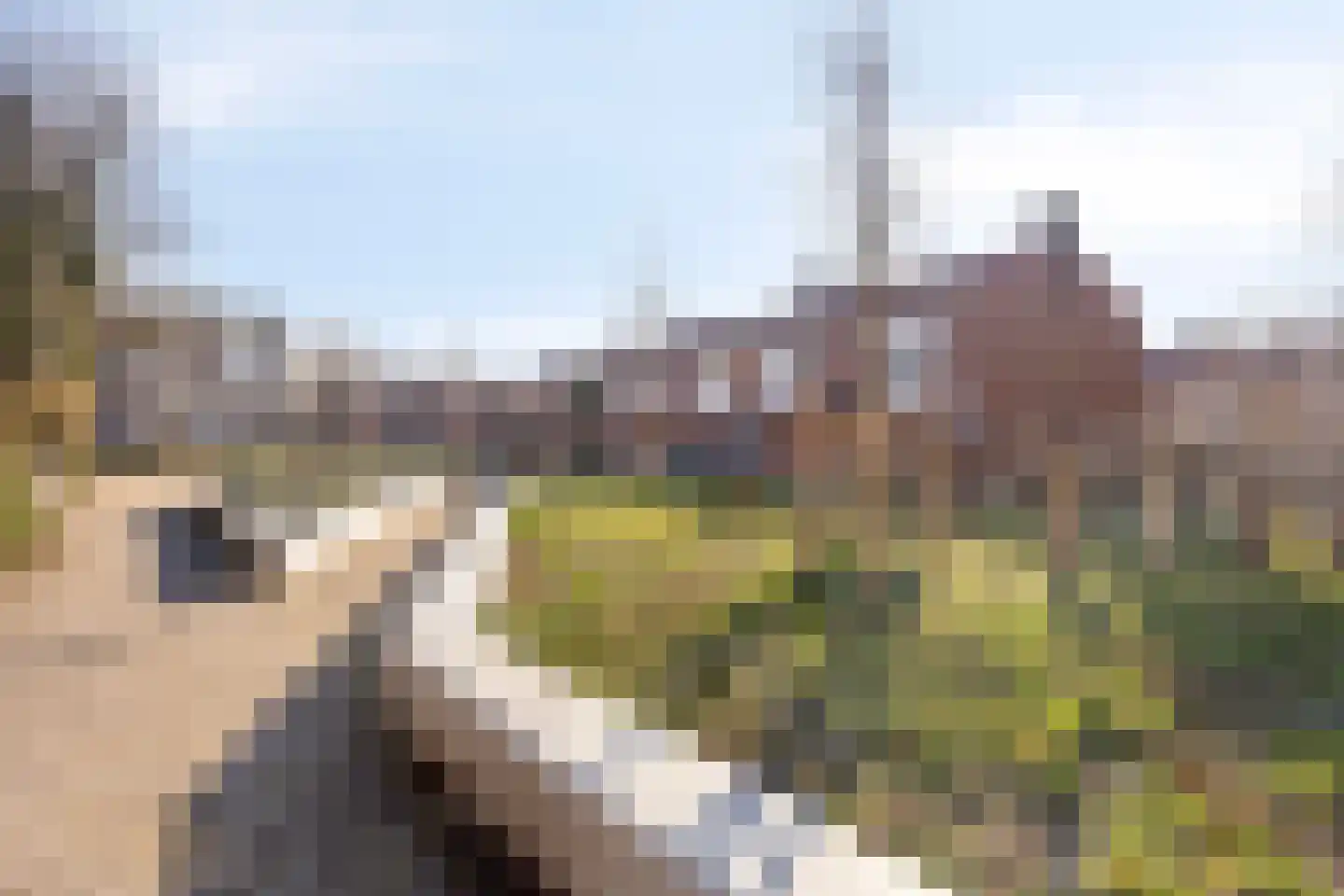 Floriszstraat 61 2 Arnhem thumbnail 23