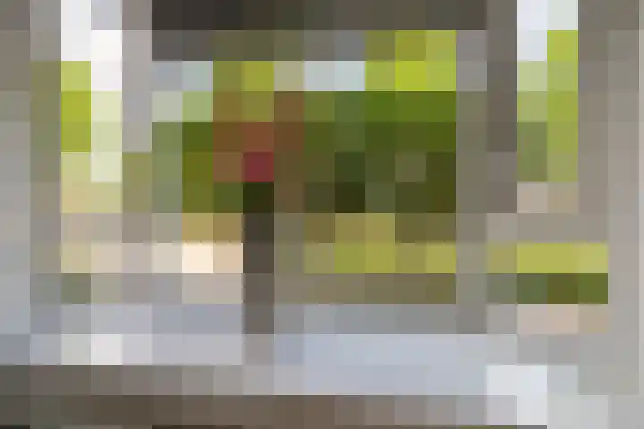 Florrie Rodrigostraat 31 Almere thumbnail 11