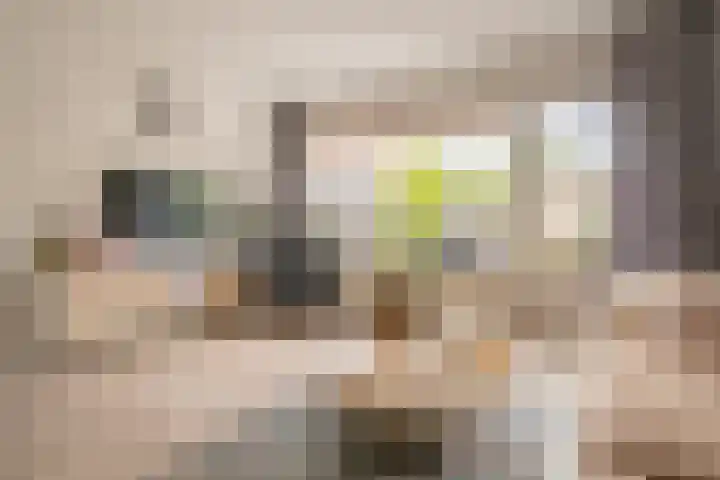 Florrie Rodrigostraat 31 Almere thumbnail 18