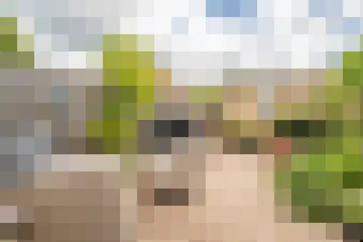 Florrie Rodrigostraat 31 Almere thumbnail 19