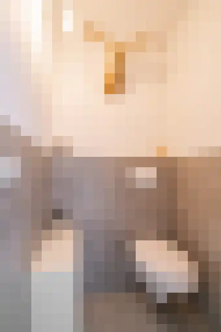 Florrie Rodrigostraat 31 Almere thumbnail 35