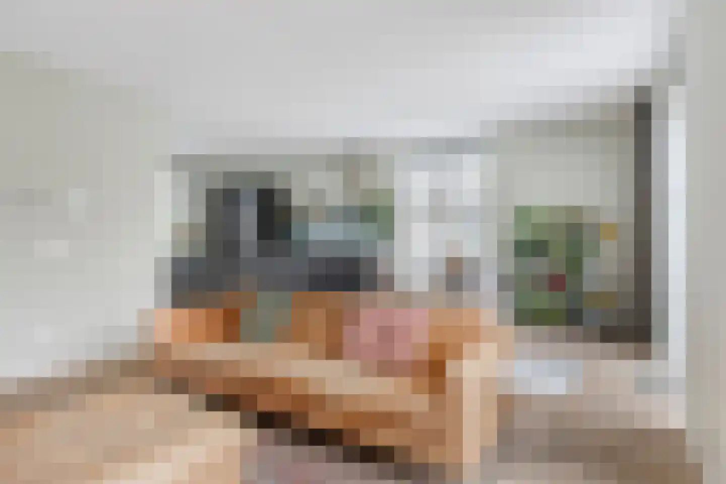 Flowcoatstraat 16 Eindhoven thumbnail 11