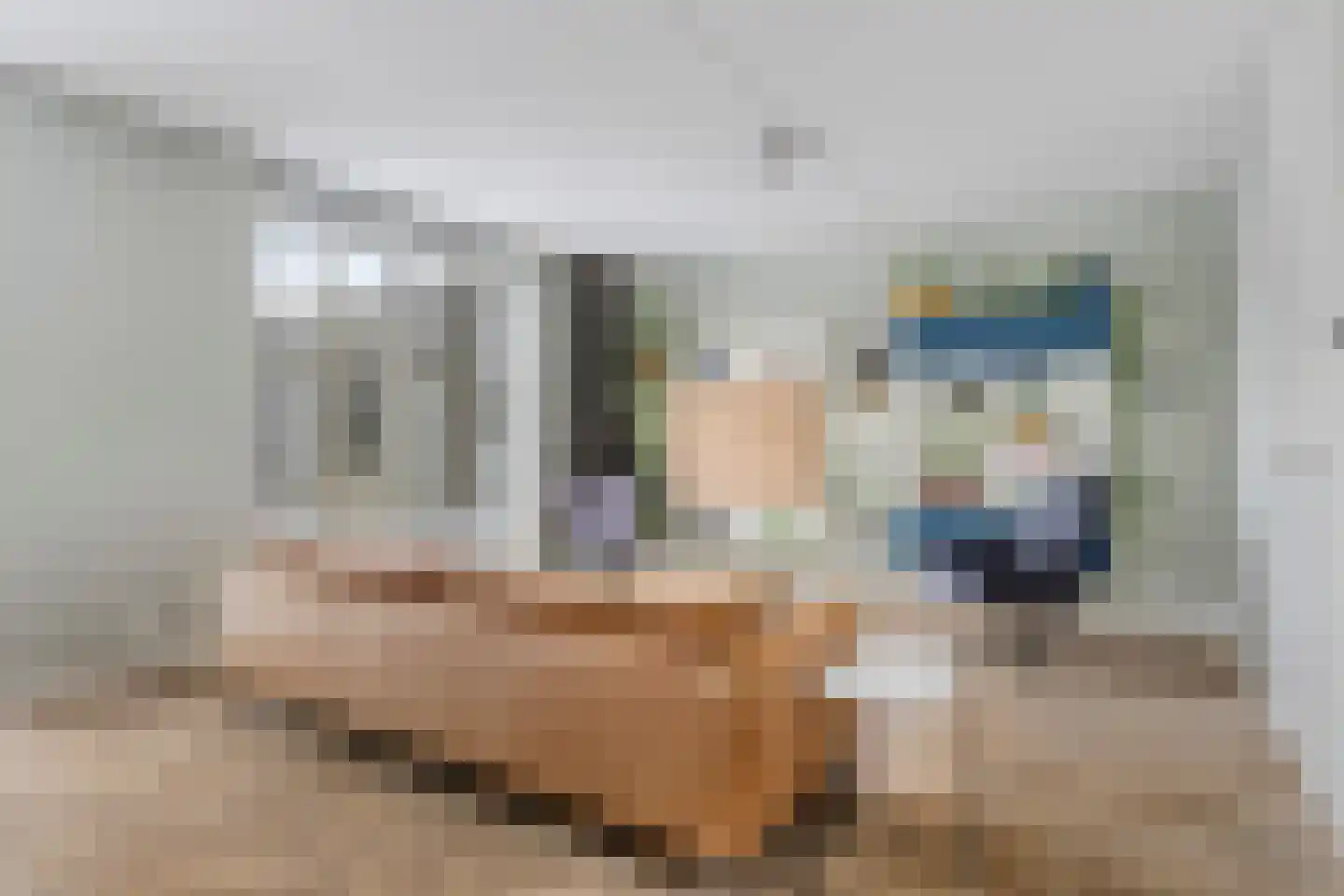 Flowcoatstraat 16 Eindhoven thumbnail 8