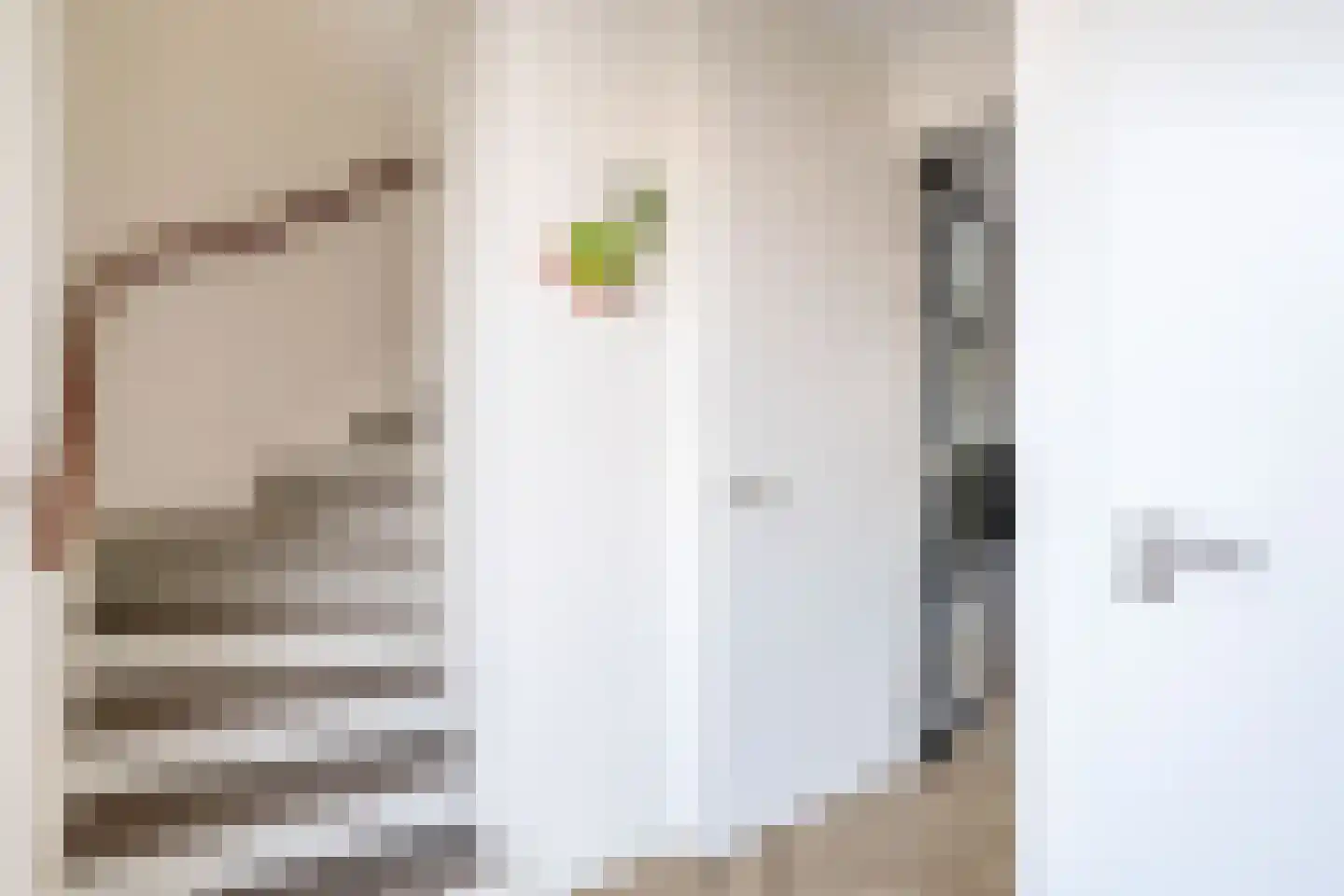 Flowcoatstraat 22 Eindhoven thumbnail 13