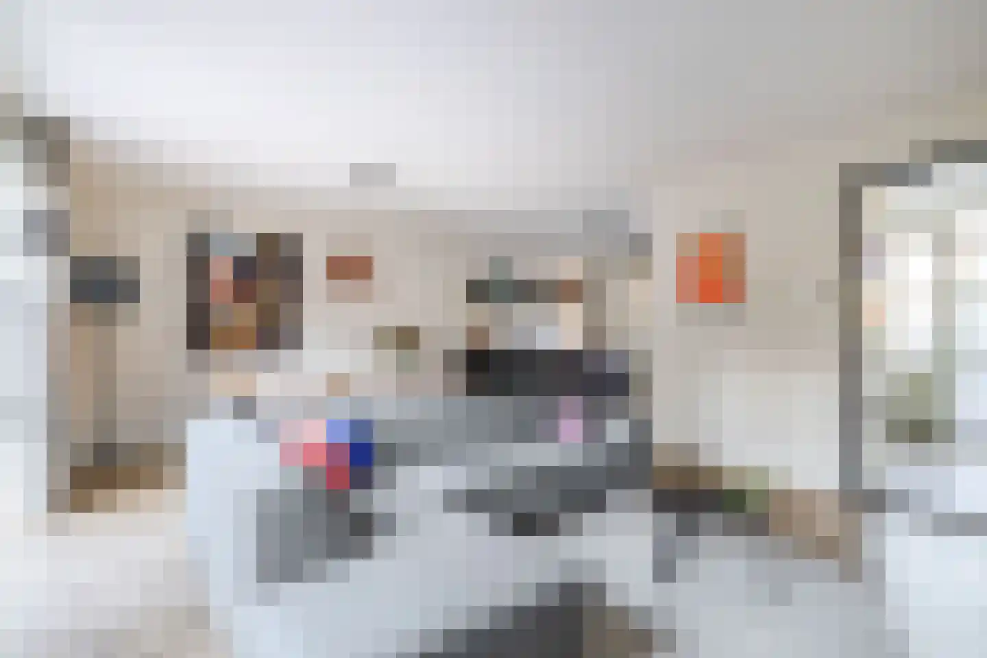 Flowcoatstraat 22 Eindhoven thumbnail 17