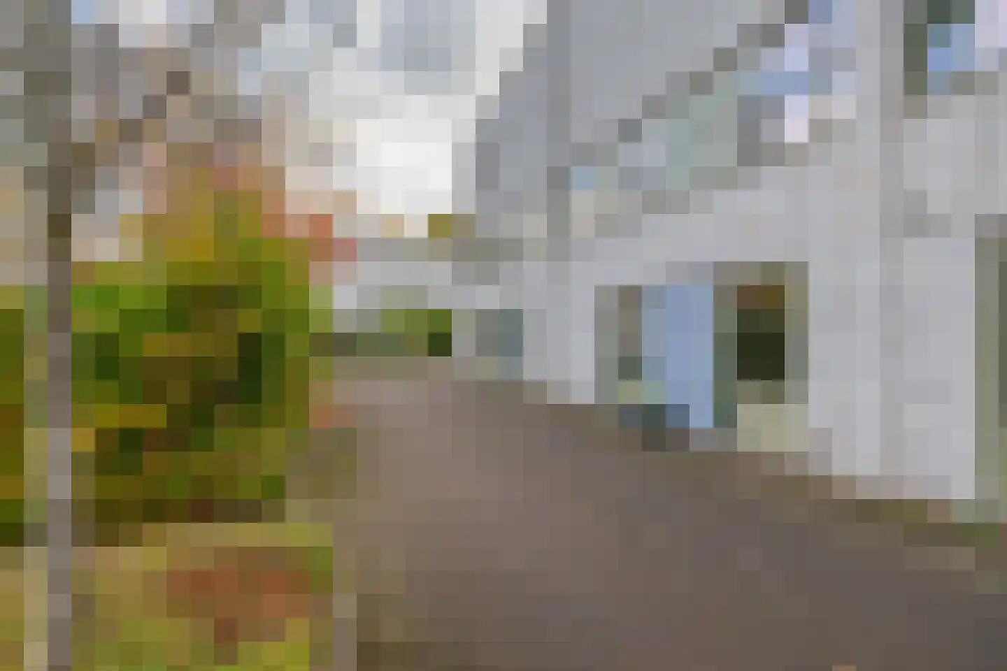 Flowcoatstraat 22 Eindhoven thumbnail 52