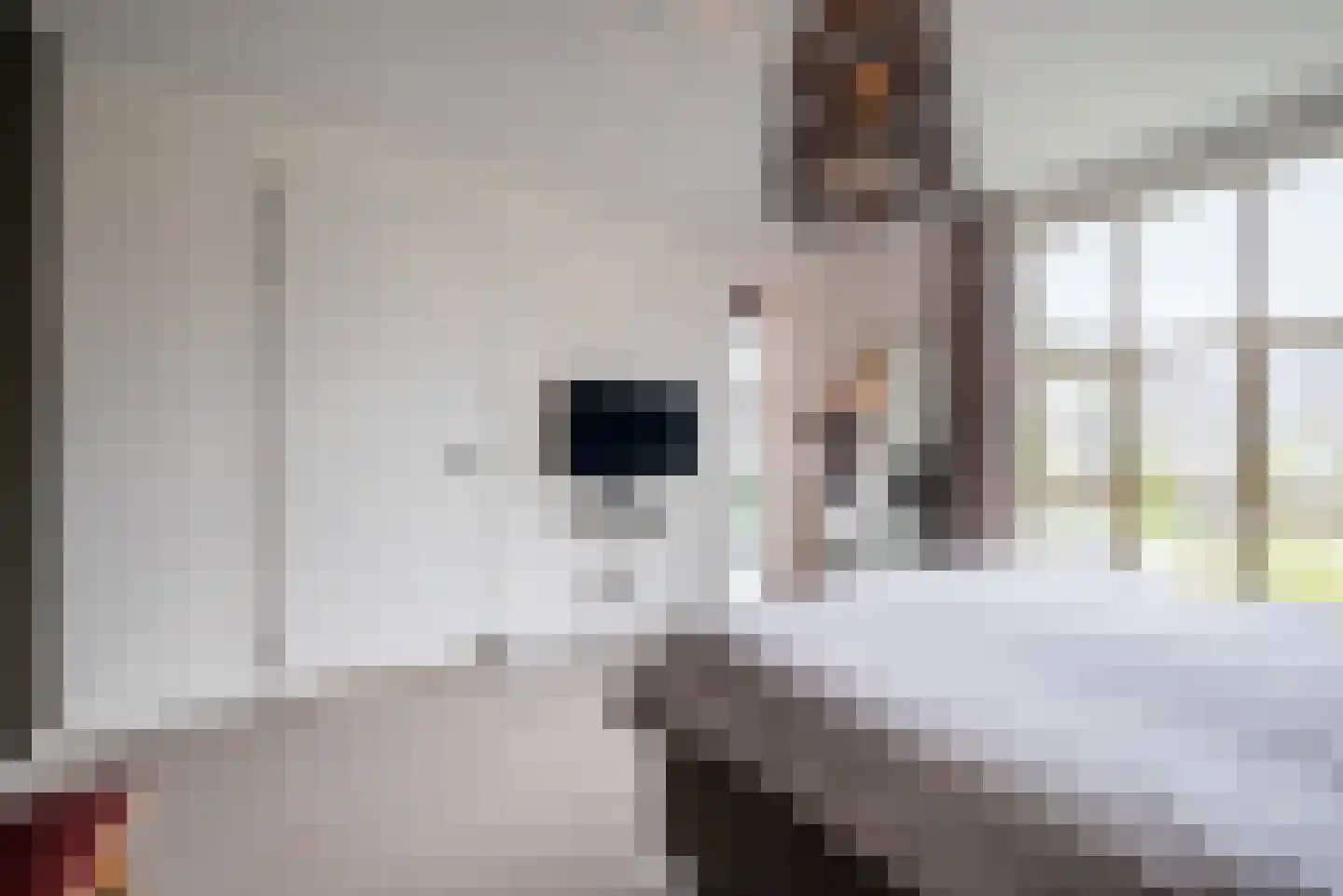 Flowcoatstraat 30 Eindhoven thumbnail 25