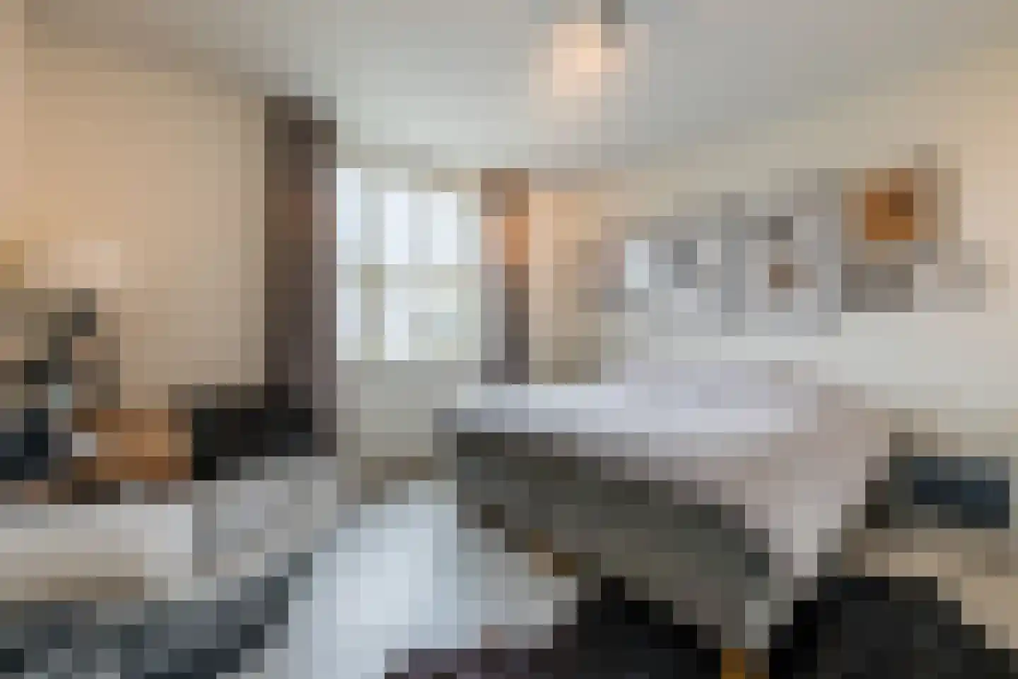 Flowcoatstraat 30 Eindhoven thumbnail 37